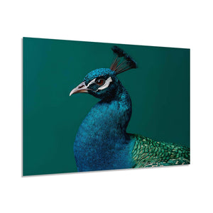 Elegant Peacock Tempered Glass Wall Art | Vibrant Bird Portrait | Modern Nature Wall Decor