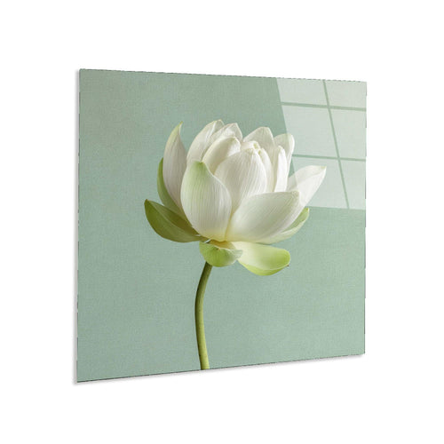 Canvas print of a white flower on a light green background