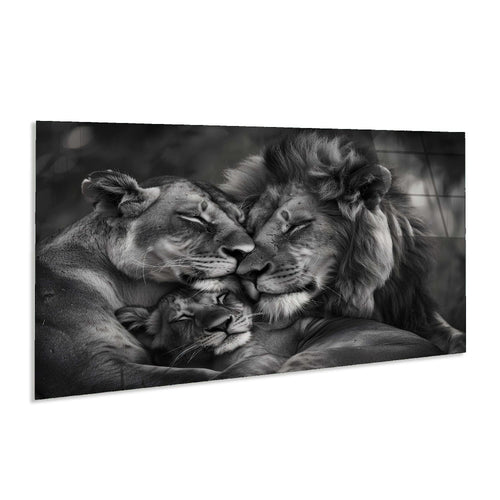 Black and white photo of a lion family with a lioness, male, and cub.
