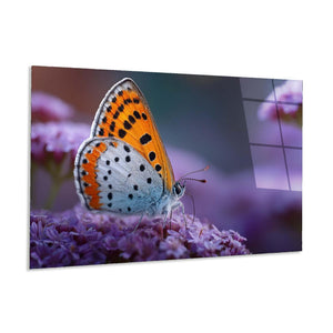 Butterfly Tempered Glass Wall Art | Modern Botanical Print