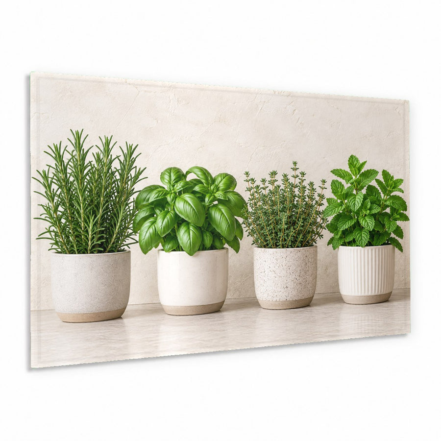 Potted herbs glass wall art hanging in a modern white country kitchen above the sink